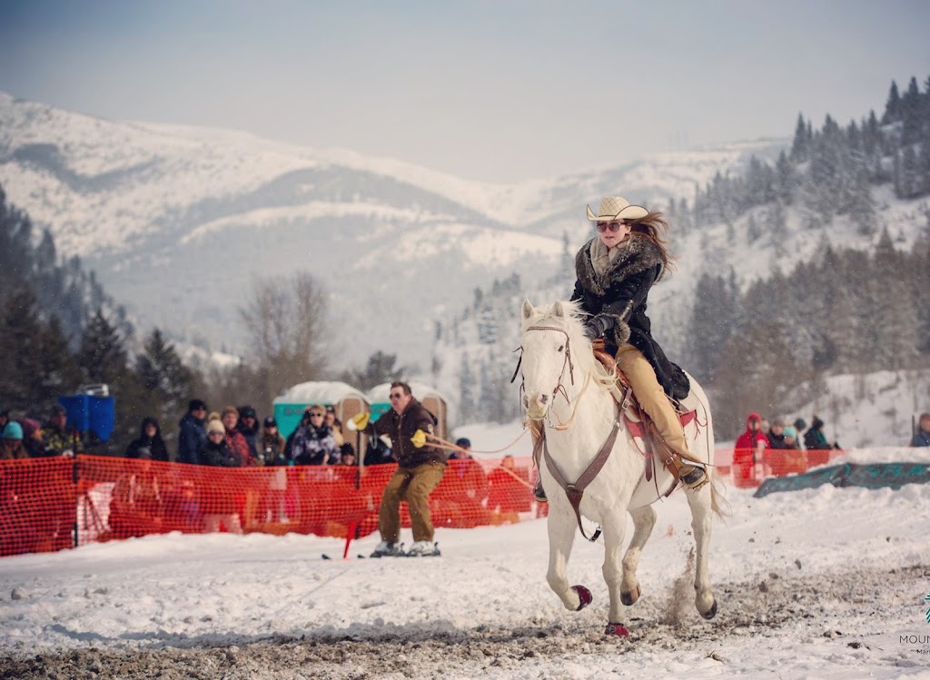 ProHorse | 30301, Range Rd 52, AB T0M 2E1, Canada | Phone: (587) 436-5572