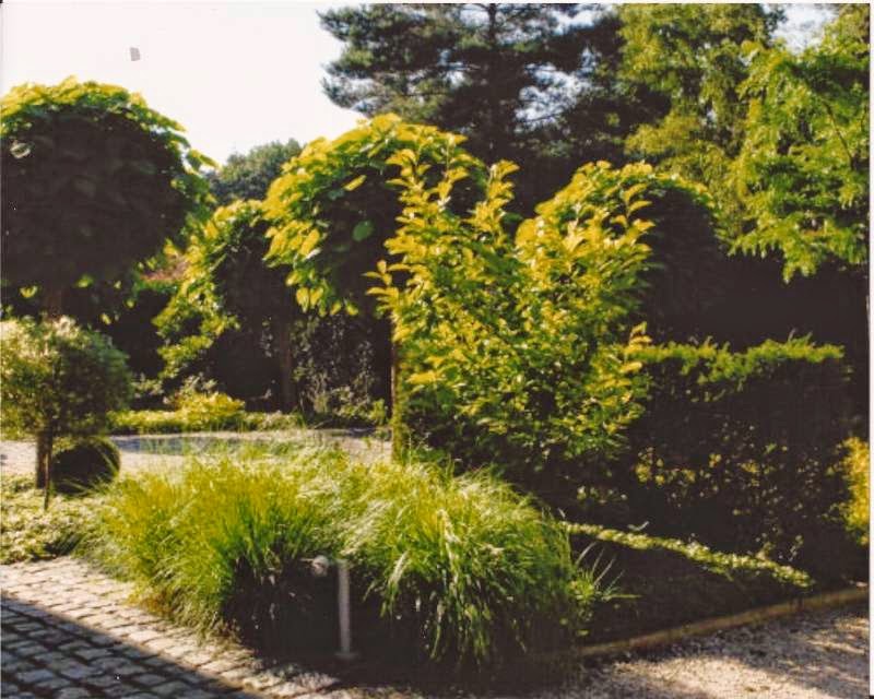 Orca Tree & Lawn Care Ltd. | 3-484 Mill Rd, Qualicum Beach, BC V9K 1J6, Canada | Phone: (250) 607-7355