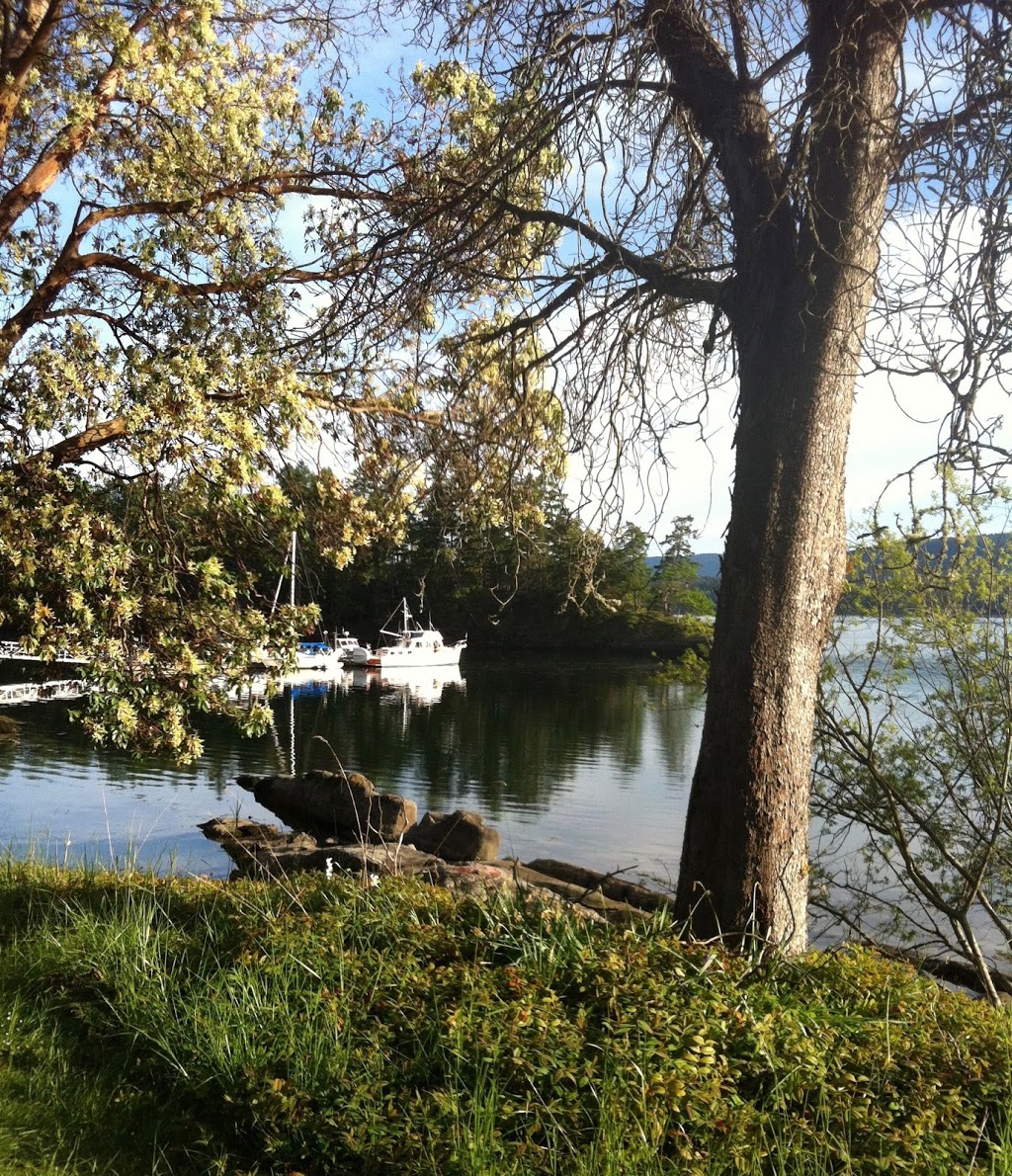 Little Boat Charters | Brechin Boat Ramp, Nanaimo, BC V9S 5T9, Canada | Phone: (250) 619-2048