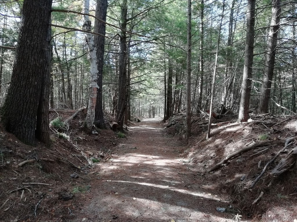 River Ridge Common | Nova Scotia Trunk 10, New Germany, NS B0R 1E0, Canada | Phone: (902) 543-8383