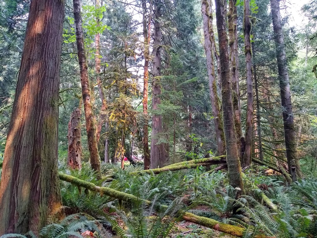 North Lake Whatcom Trail | Bellingham, WA 98226, USA | Phone: (360) 778-5850