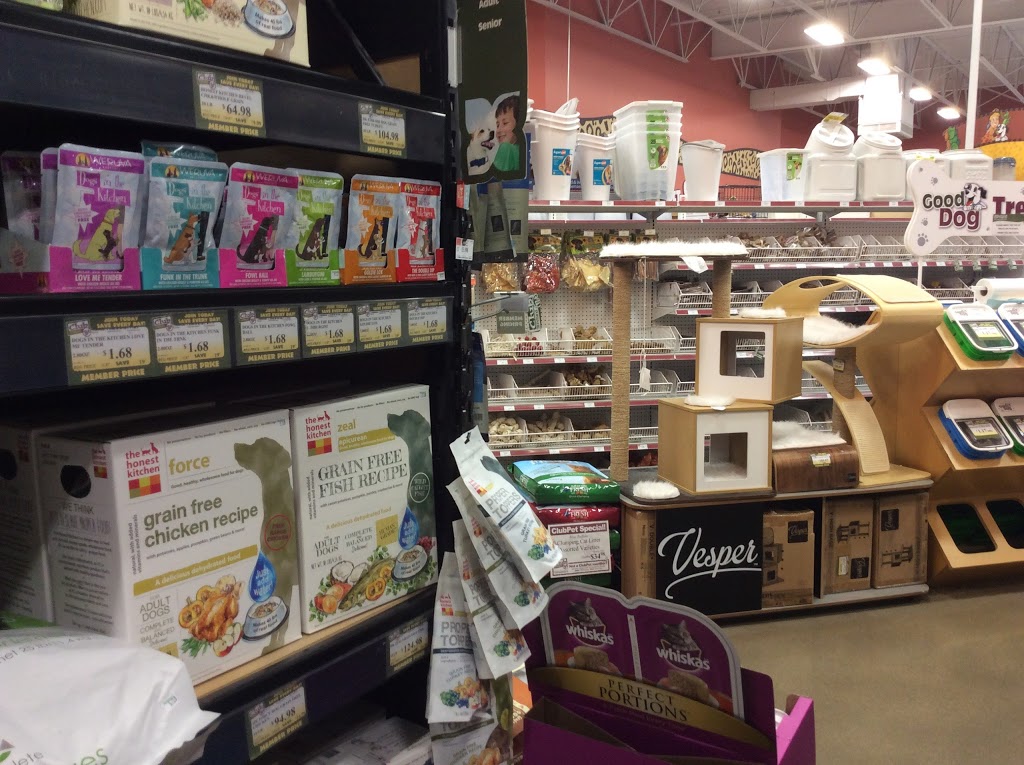 Petland | 3047 Clarence Ave S, Saskatoon, SK S7T 0B4, Canada | Phone: (306) 934-3920