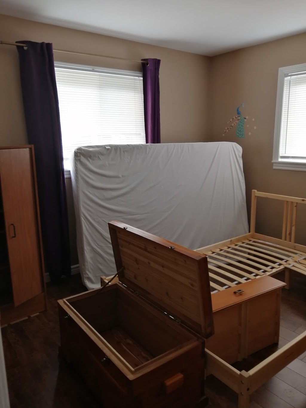 All Corners Pest Control | 265 Barton Street #33F, Stoney Creek, ON L8E 2K4, Canada | Phone: (905) 385-1818