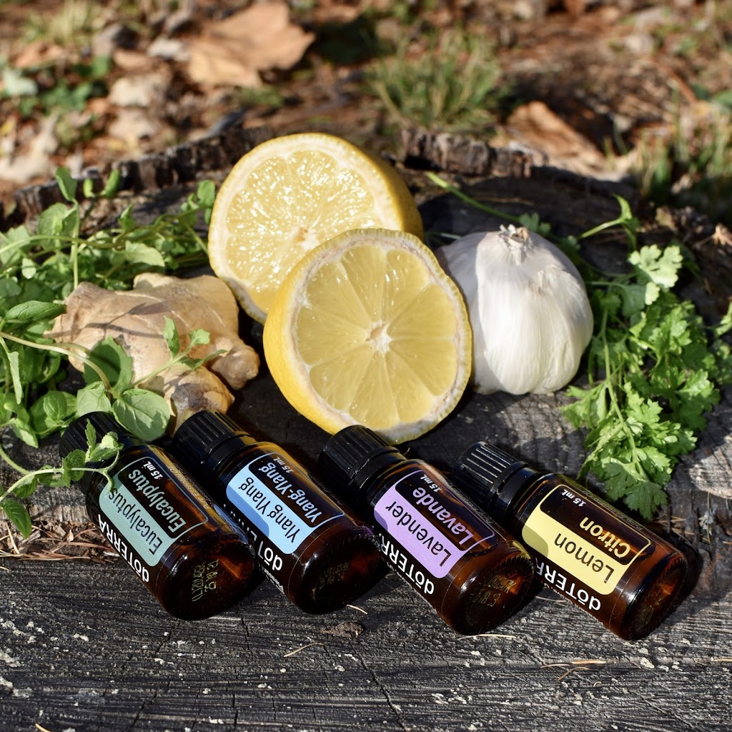 Love You First Naturopath | 49 Lawson Ave, Riverview, NB E1B 3R1, Canada | Phone: (506) 874-8143