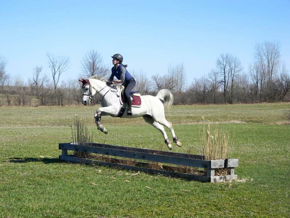 Stable SunnyBreeze Stable | 4552 Chemin Bellerive, Carignan, QC J3L 3P9, Canada | Phone: (514) 641-4627
