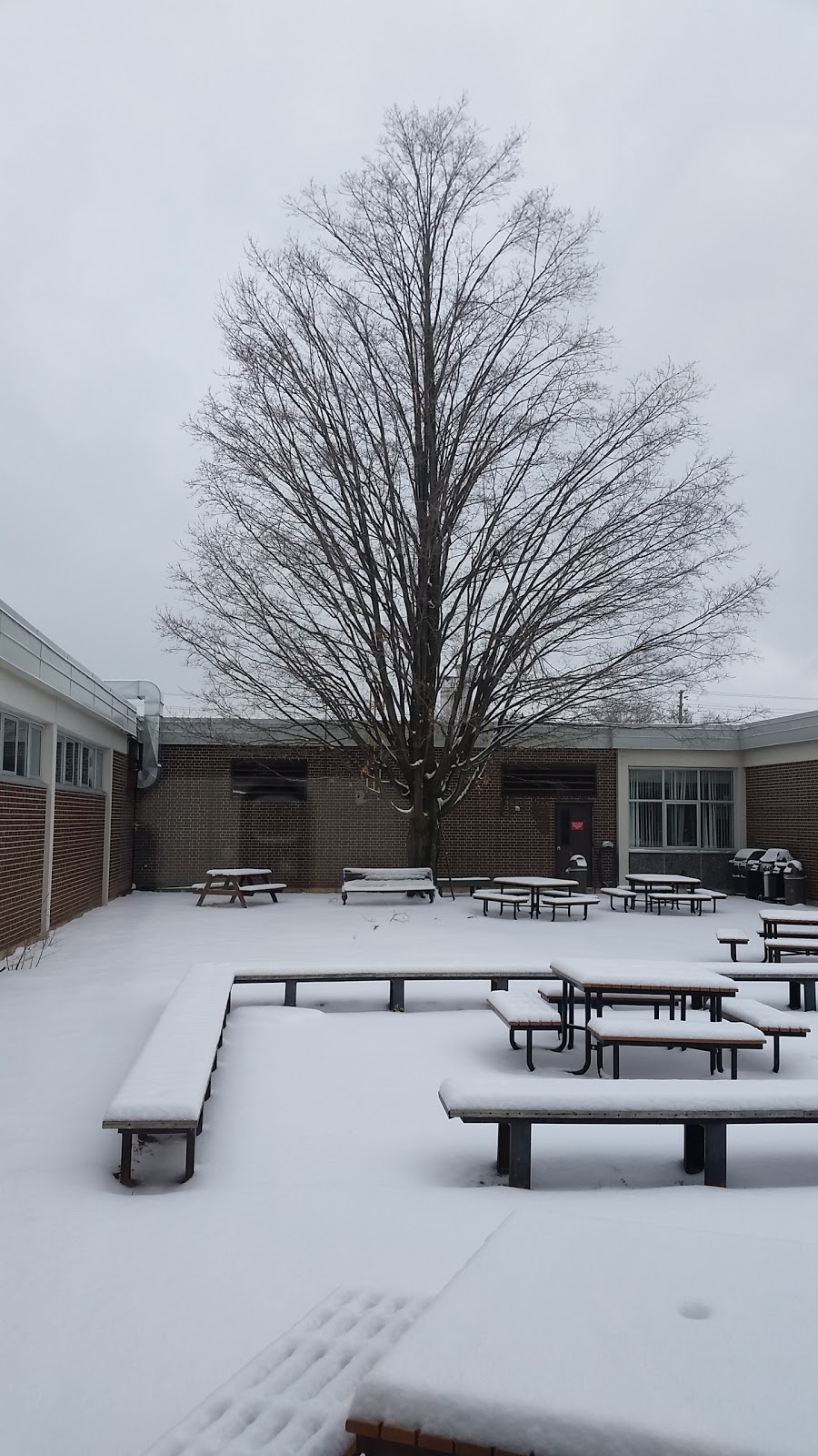 Bayview Secondary School | 10077 Bayview Ave, Richmond Hill, ON L4C 2L4, Canada | Phone: (905) 884-4453