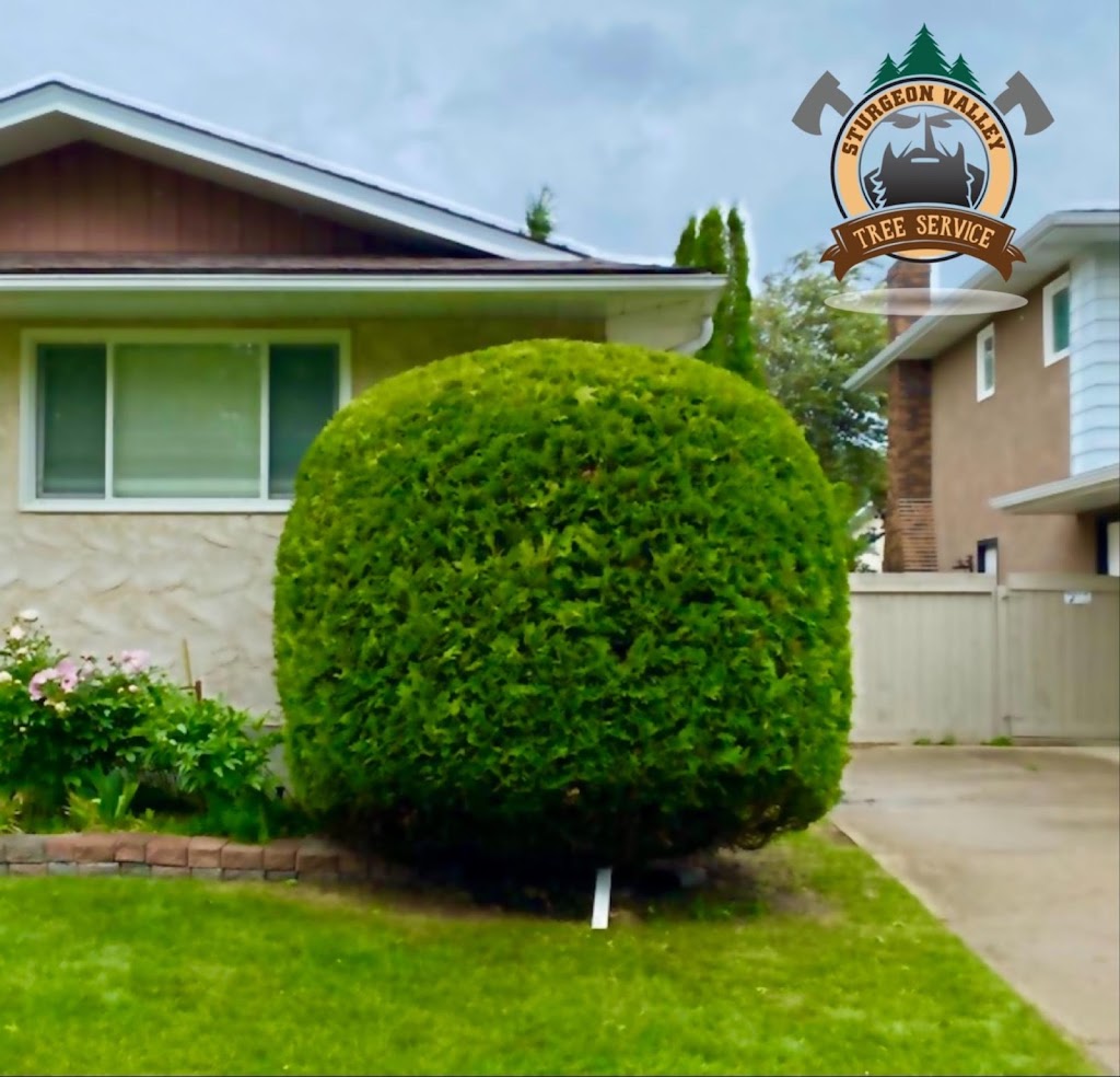 Sturgeon Valley Tree Service | 816 Grandin Dr, Morinville, AB T8R 1T9, Canada | Phone: (780) 939-3936