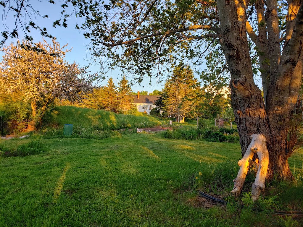 Fundys Lighthouse Cottage | 141 Marys Point rd, Co, NB E4H 2M7, Canada | Phone: (506) 232-3059