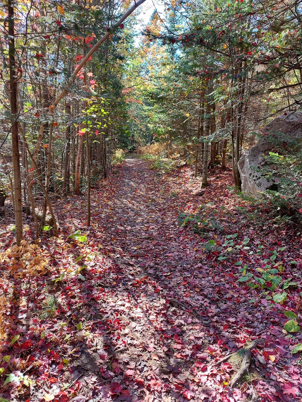 Sentier du Cabouron de Saint-Germain | 429 Rte de St Germain, Saint-Germain, QC G0L 3G0, Canada | Phone: (418) 492-9771