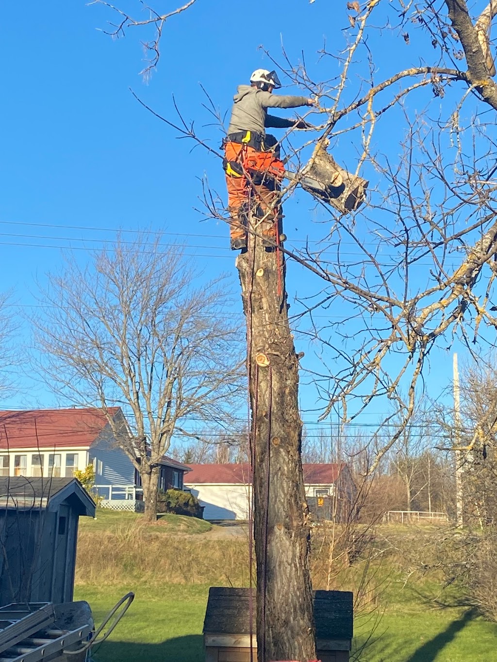Aspotogan Tree Service | 345 Clayton Dr, Hubbards, NS B0J 1T0, Canada | Phone: (902) 212-2923