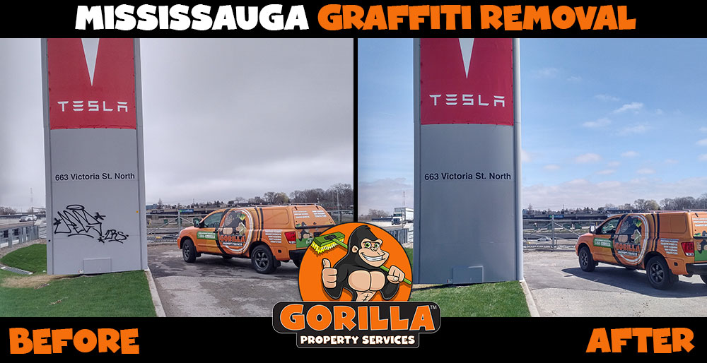Gorilla Property Services | 7360 Bramalea Rd #885, Mississauga, ON L5S 1W9, Canada | Phone: (905) 963-9059