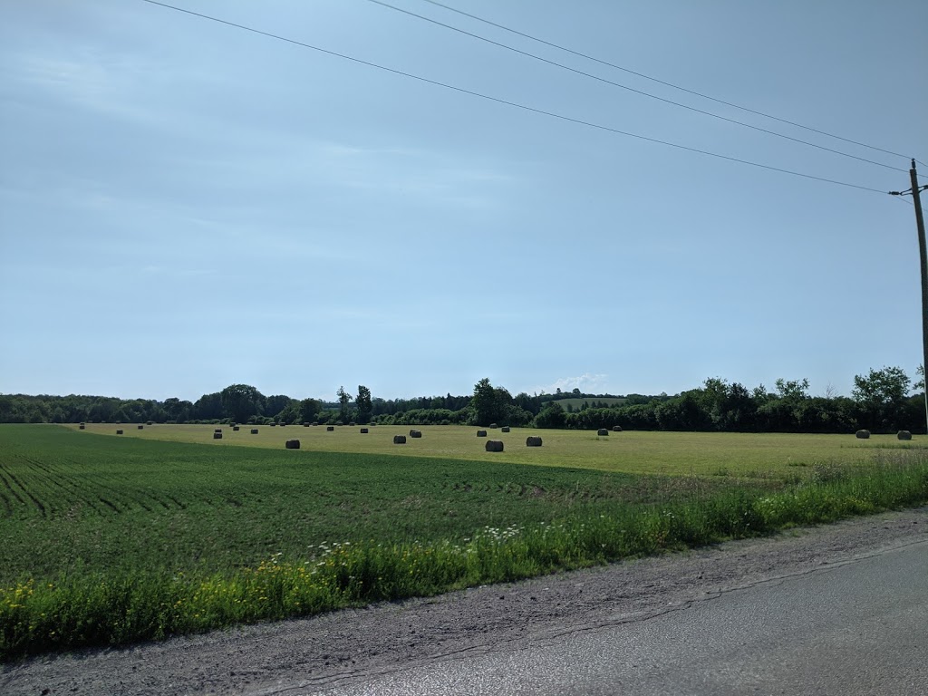 Sunnymead Farm | 1060 Frank Hill Rd, Omemee, ON K0L 2W0, Canada | Phone: (705) 760-5741