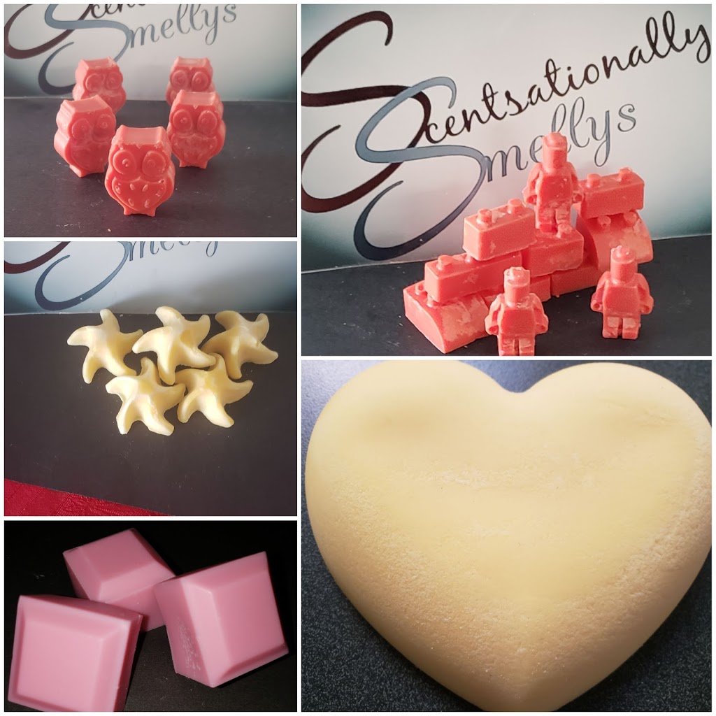 Scentsationally Smellys | 9020 Jim Bailey Rd #87, Kelowna, BC V5V1E5, Canada