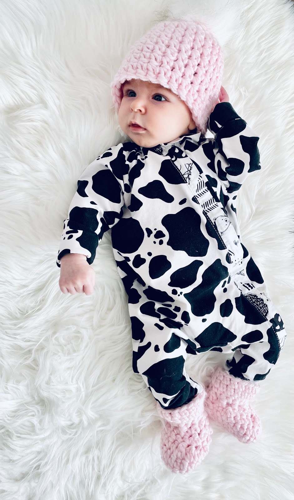 bébé baleine | 39 Chem. de la Vall. de Wakefield, Wakefield, QC J0X 3G0, Canada | Phone: (613) 297-5213