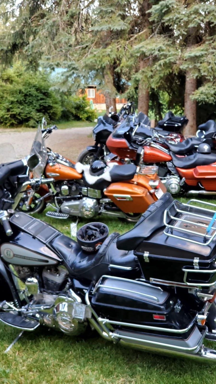 Riders Ranch Motorcycle Campground | 6025 Kitchen Rd, Kitchener, BC V0B 1W1, Canada | Phone: (250) 402-8266
