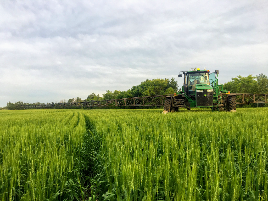 Letts Farm | 60231- Rge Rd, 11, Westlock, AB T7P 2N9, Canada | Phone: (780) 307-6211