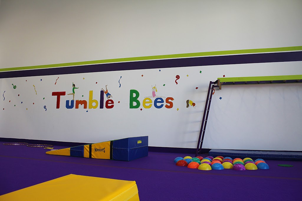 Kelowna Gymnastix | 1891 Springfield Rd #225, Kelowna, BC V1Y 5V5, Canada | Phone: (778) 484-7570