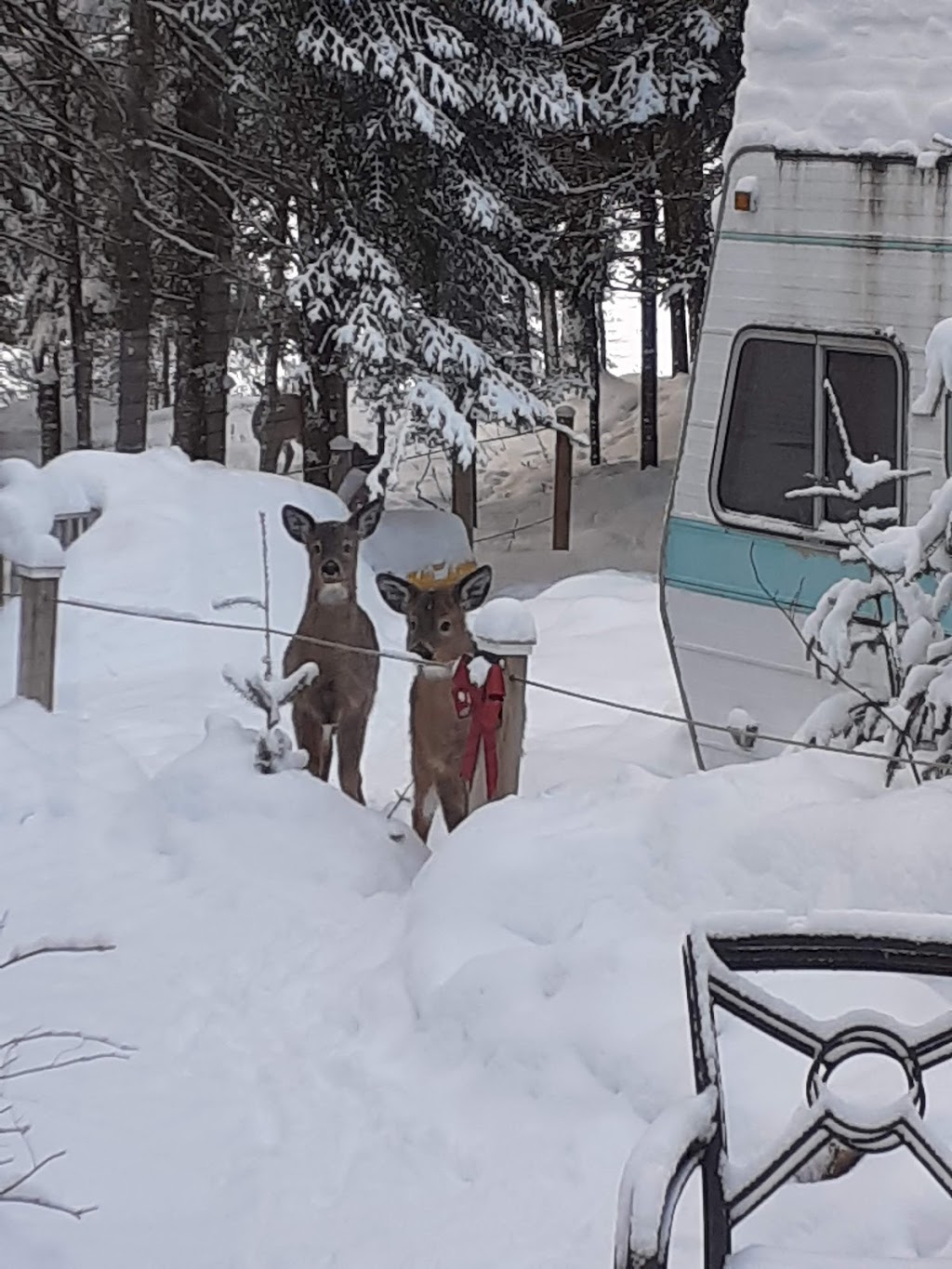 Cooperative association for outdoor sports of Milles-Iles | 10 Chem. des Perches, LAscension, QC J0T 1W0, Canada | Phone: (819) 275-5083