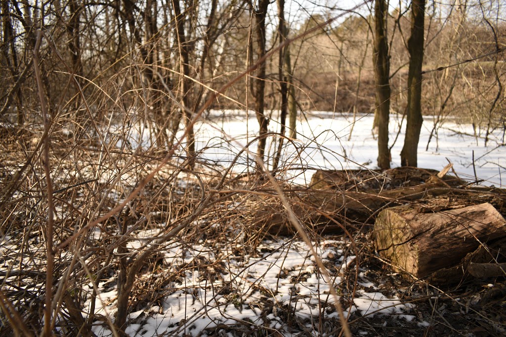 Mountsberg Conservation Area | 2259 Milburough Line, Campbellville, ON L0P 1B0, Canada | Phone: (905) 854-2276