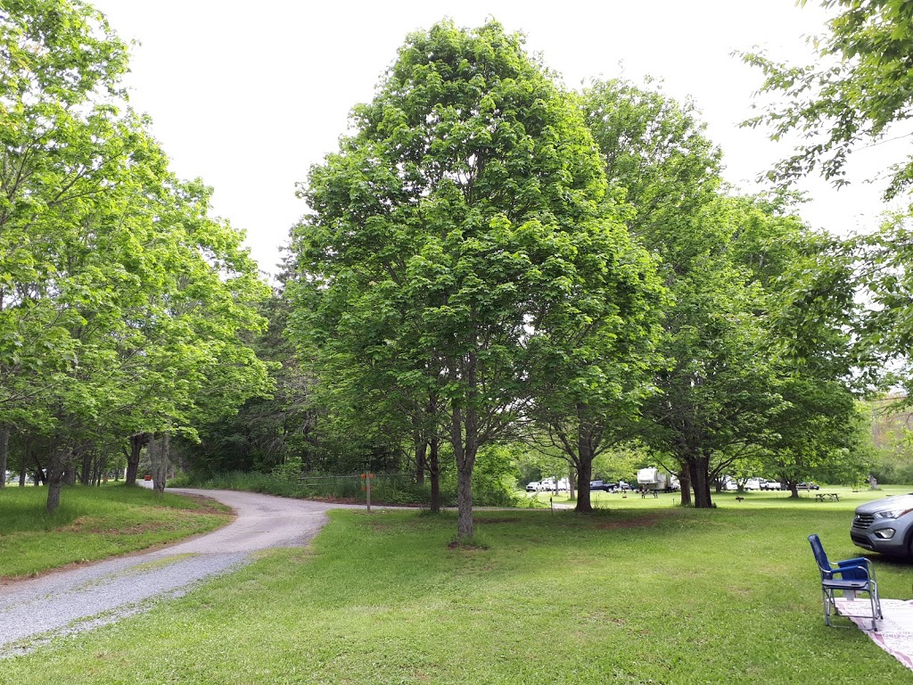 Smileys Provincial Park | 109 Clayton McKay Rd, Newport, NS B0N 2A0, Canada | Phone: (902) 757-3131