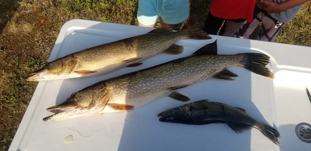 Camping Rivière-Whiskey | La Verendrye Wildlife Reserve, Vallée-de-lOr, QC J0W 2C0, Canada | Phone: (800) 665-6527