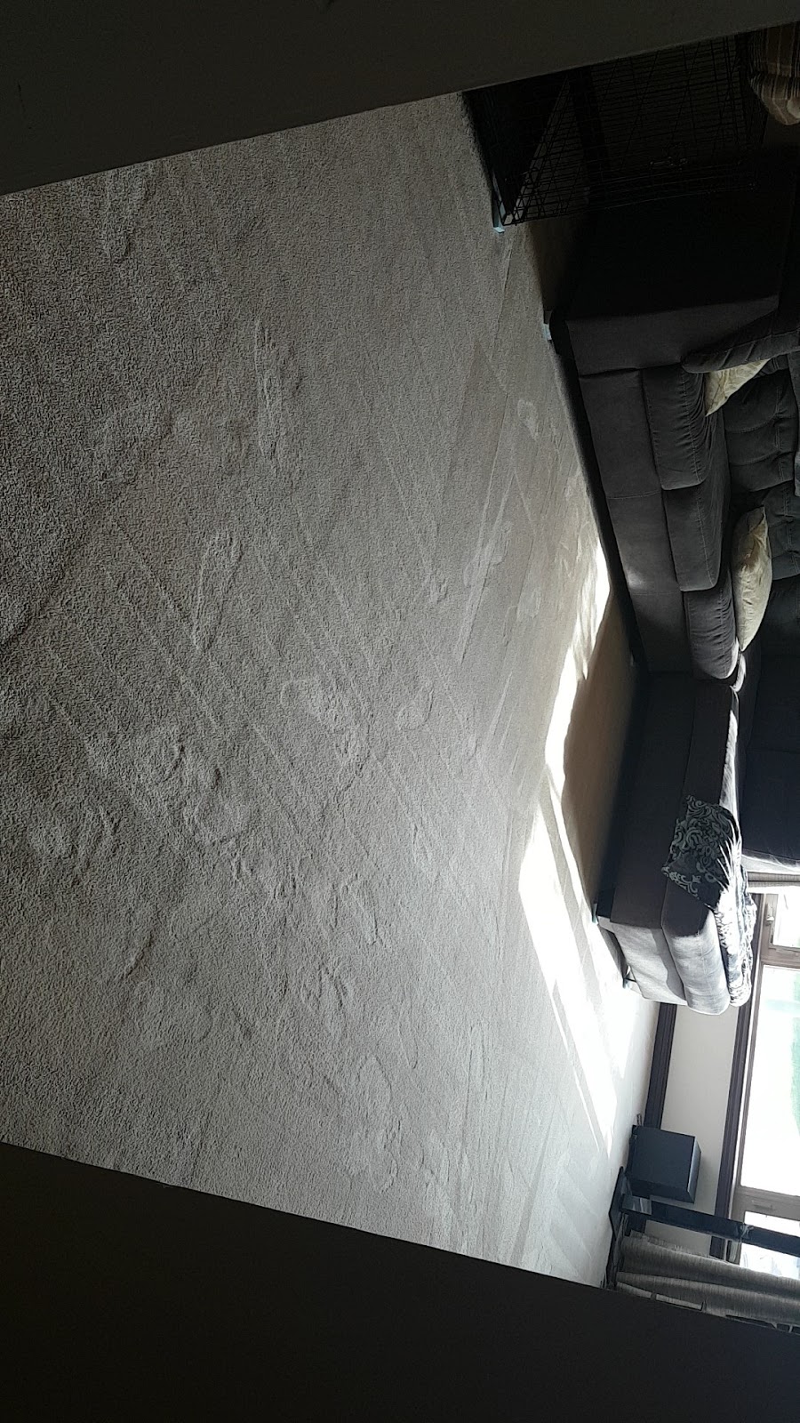 Alpine Carpet Care | 7010 Lanigan Dr, Regina, SK S4X 3X9, Canada | Phone: (306) 533-7199