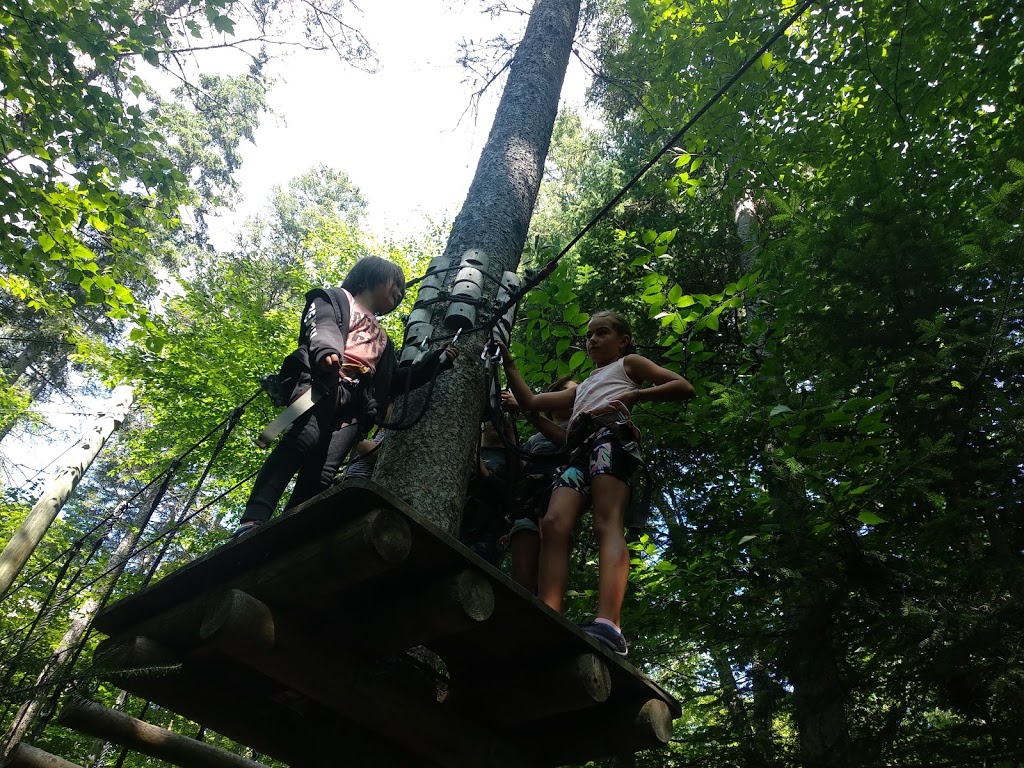 DArbre en Arbre | 435 Chemin Ernest-Martin, Marston, QC G0Y 1G0, Canada | Phone: (819) 583-3965