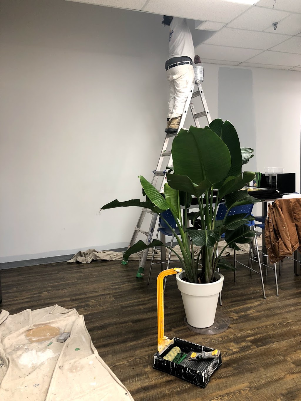 renovo masters inc. | 8 Hillcrest Ave #818, North York, ON M2N 6Y6, Canada | Phone: (416) 833-3335
