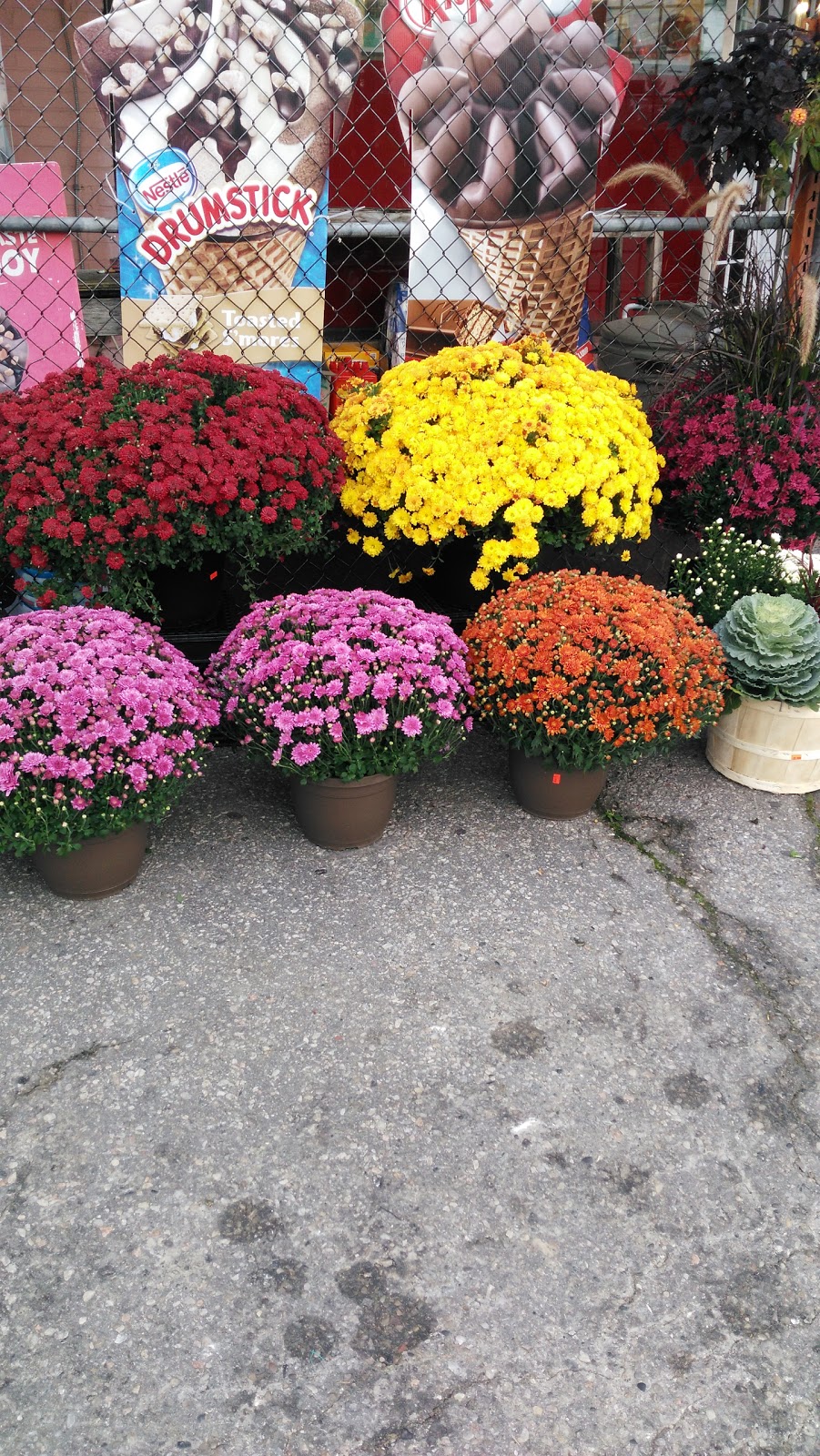 Lucky Twyn Rivers Variety | 159 Twyn Rivers Dr, Pickering, ON L1V 1E3, Canada | Phone: (905) 509-3328