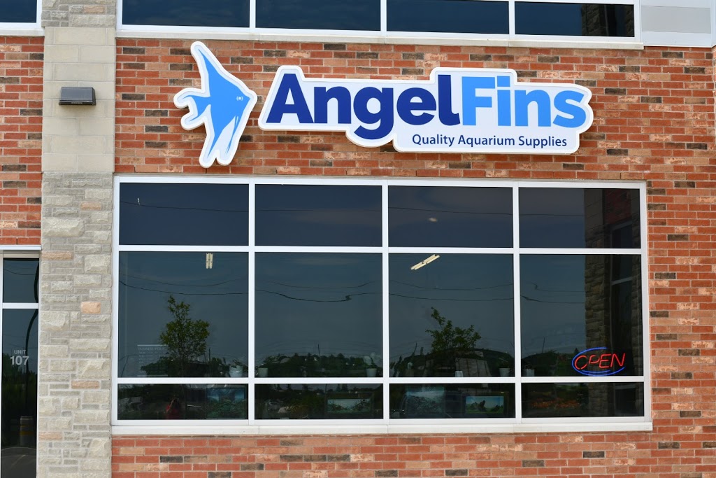 AngelFins - Quality Aquarium Supplies | 230 Hanlon Creek Boulevard unit 107, Guelph, ON N1C 1C1, Canada | Phone: (519) 546-6911
