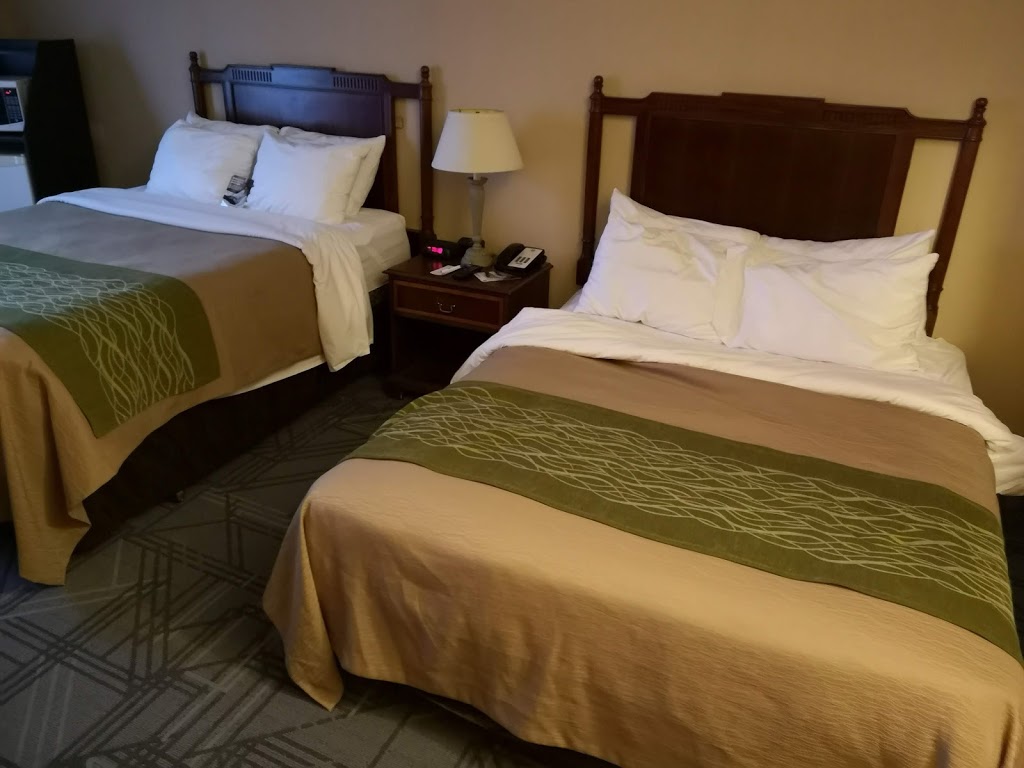 Comfort Inn | Route 2211, Northumberland County Rd 28, Port Hope, ON L1A 3V6, Canada | Phone: (905) 885-7000