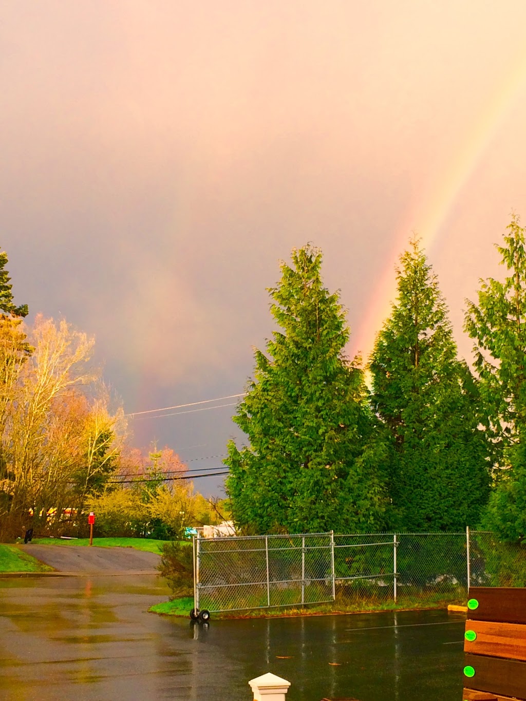 Pacific Building Center & True Value Hardware | 2677 Bell Rd, Blaine, WA 98230, USA | Phone: (360) 332-5335