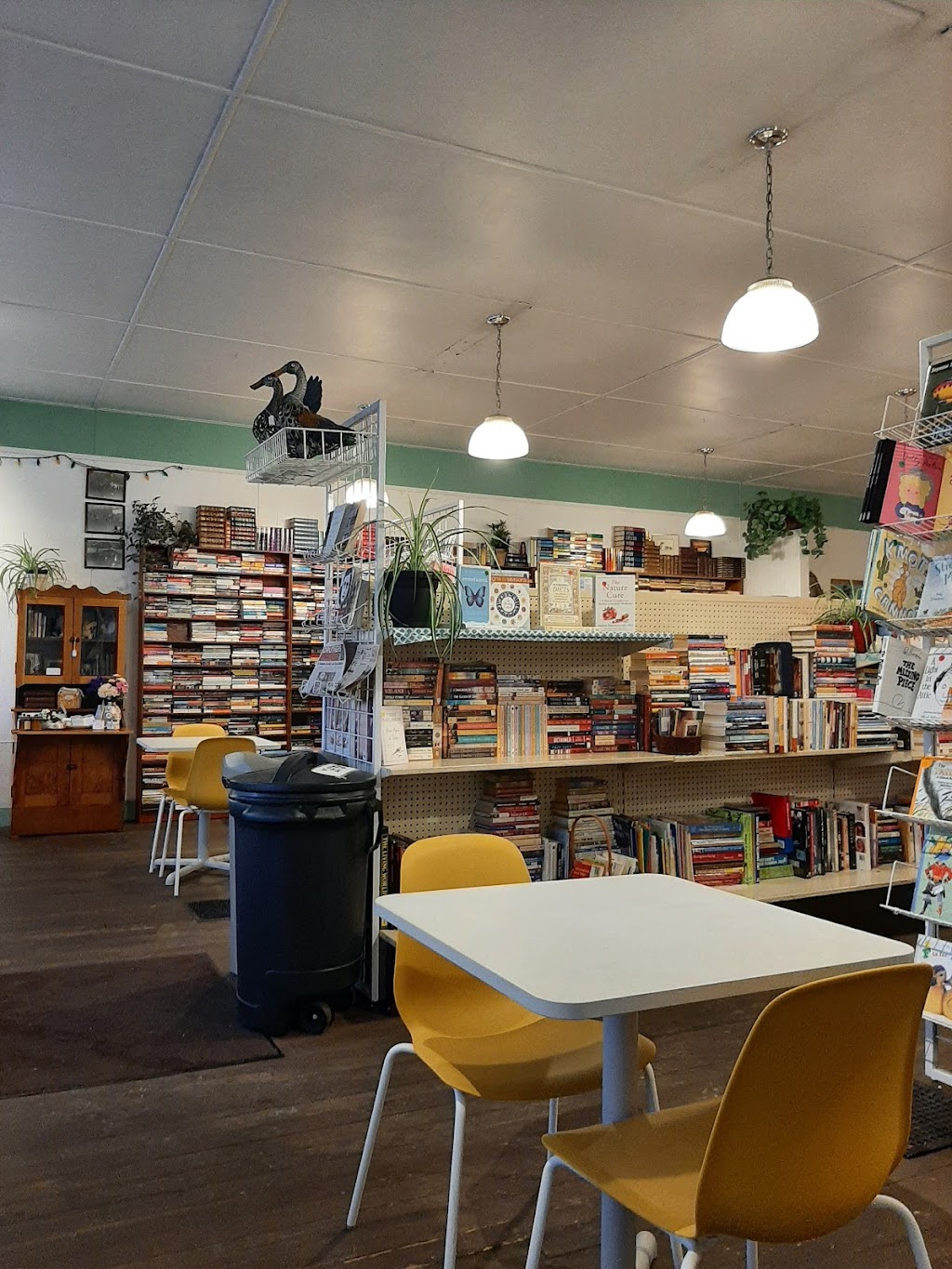 Staceys Happy Place | 5011 50 St, Eckville, AB T0M 0X0, Canada | Phone: (403) 746-2256