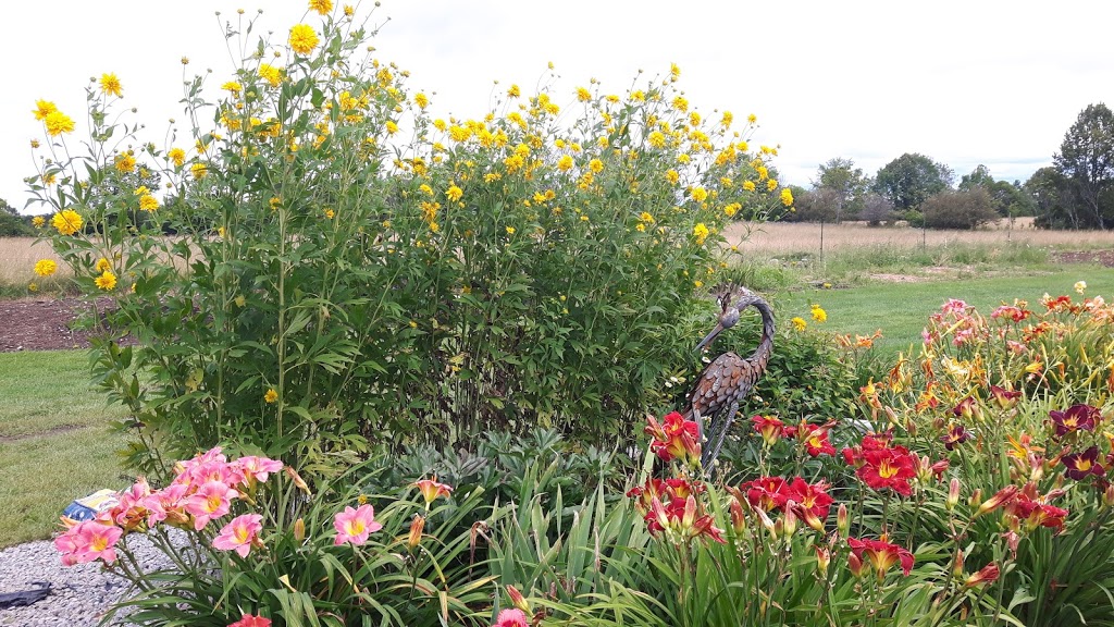 Rural Roots Gardens | 2369 Kawartha Lakes County Rd 36, Dunsford, ON K0M 1L0, Canada | Phone: (705) 928-7668