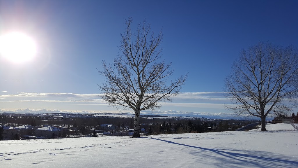 Wylie Athletic Park - Skate and Spray Park | 28 Downey Rd, Okotoks, AB T1S 1H5, Canada