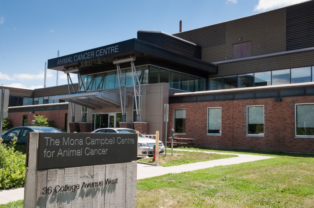 Animal Cancer Ctr | 36 College Ave W, Guelph, ON N1G, Canada | Phone: (519) 823-8830
