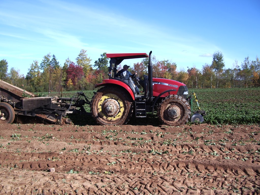 G W Allen Nursery Ltd | 7295 NS-221, Centreville, NS B0P 1J0, Canada | Phone: (902) 678-7519
