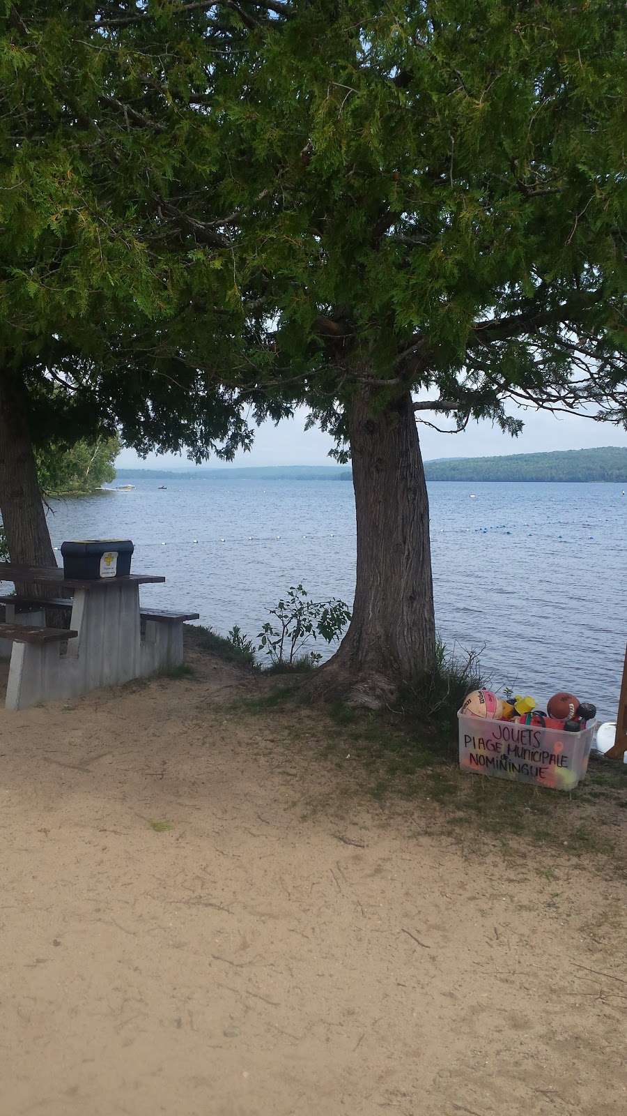 Plage Municipale De Nominingue - 2282 Chemin Des Sureaux, Nominingue 