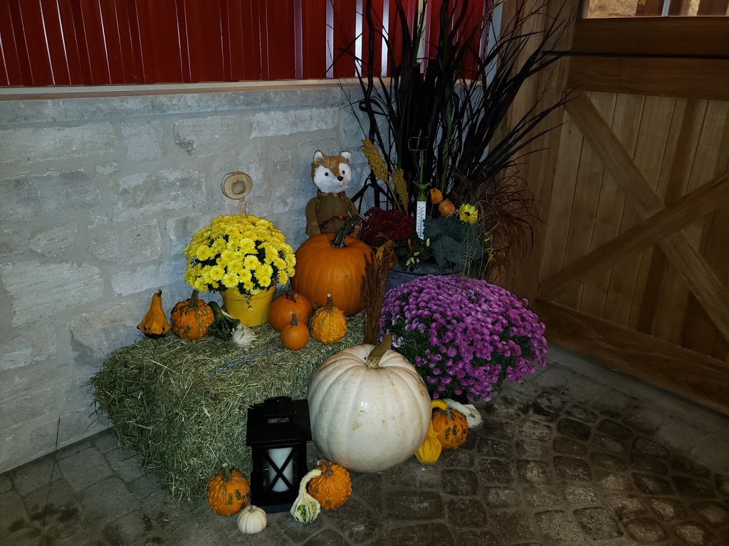 SWEETGRASS EQUESTRIAN | 13510 Fifth Line Nassagaweya, Rockwood, ON N0B 2K0, Canada | Phone: (289) 971-8778