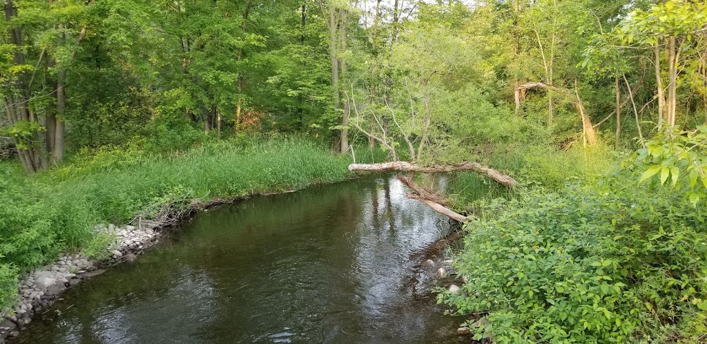Courtcliffe Park | 159 Carlisle Rd, Carlisle, ON L0R 1H0, Canada