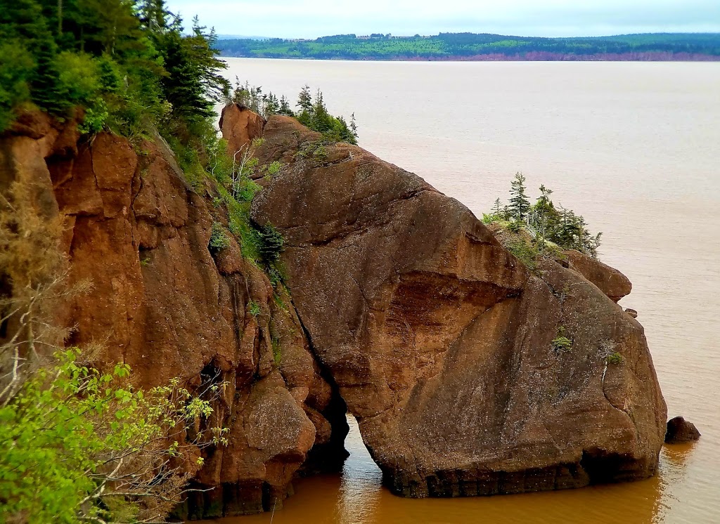 Hopewell Rocks Park | 131ch, Discovery Rd, Hopewell Cape, NB E4H 4Z5, Canada | Phone: (877) 734-3429