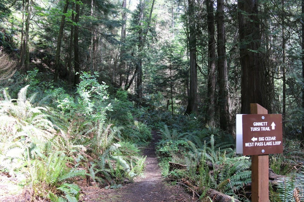 big cedar trail | Rosario Rd, Anacortes, WA 98221, USA