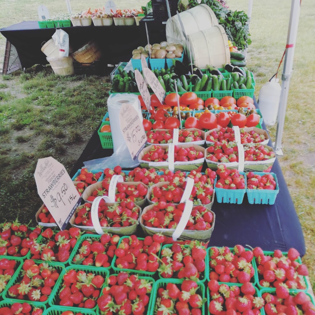 Orillia & District Agricultural Society | 4500 Fairgrounds Rd, Severn, ON L3V 0Y2, Canada | Phone: (705) 325-0353