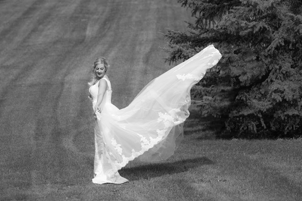 Mountain Tale Studios | 37 Evergreen Crescent SW, Calgary, AB T2Y 3R3, Canada | Phone: (403) 771-4567
