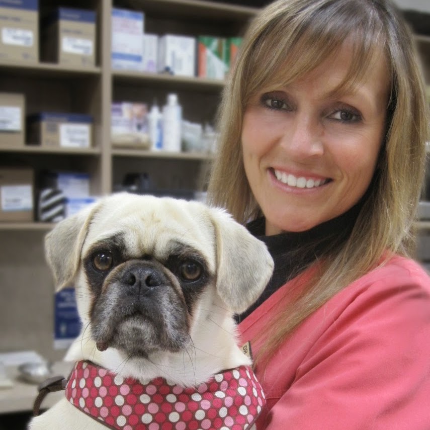 Amberlea Animal Hospital | 780 Kingston Rd b1, Pickering, ON L1V 0C5, Canada | Phone: (905) 420-7387