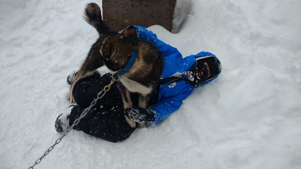 Windrift Adventures | 5753 8 Line N, Moonstone, ON L0K 1N0, Canada | Phone: (705) 325-0919