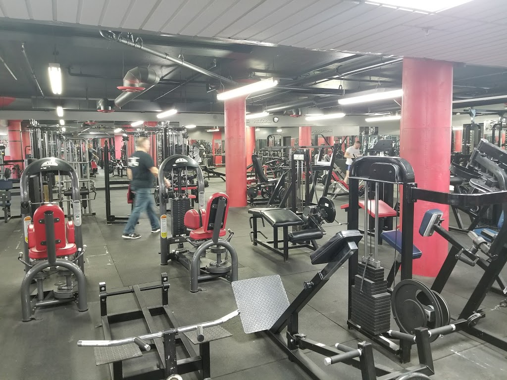 FlexPlex Muscle and Fitness | 1700 Dundas St, London, ON N5W 3C9, Canada | Phone: (519) 601-7539