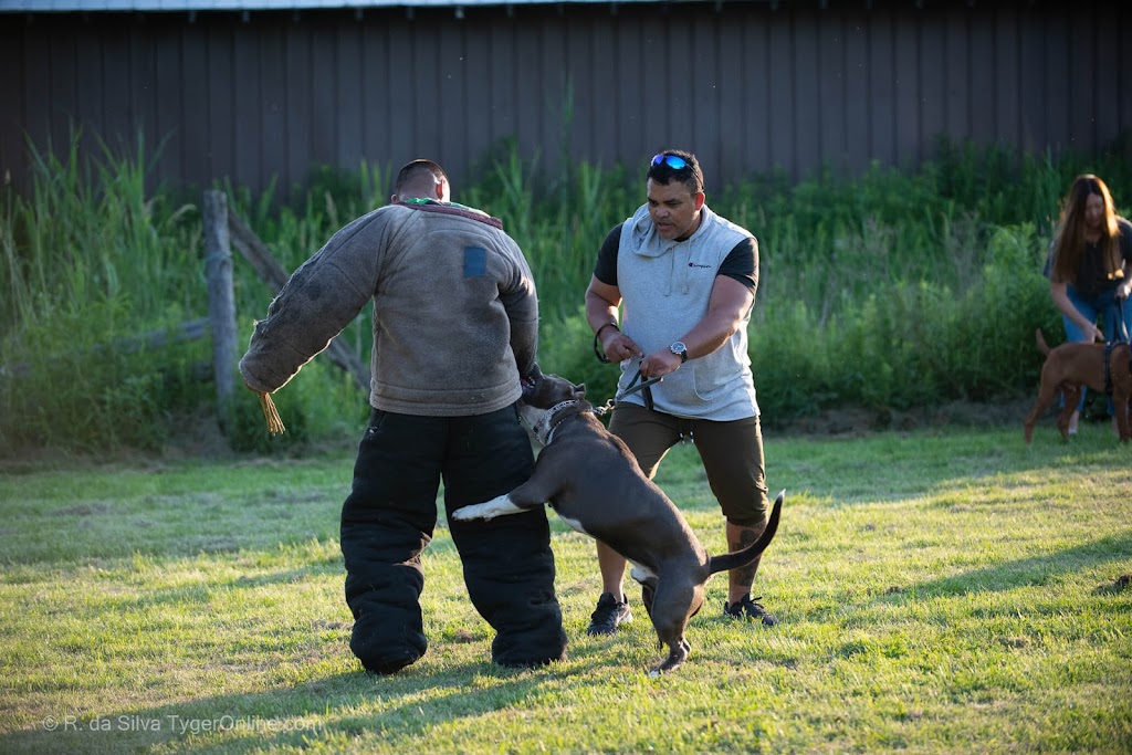 Toronto K9 Center | 713 Krosno Blvd Unit #4, Pickering, ON L1W 1G4, Canada | Phone: (905) 914-5534