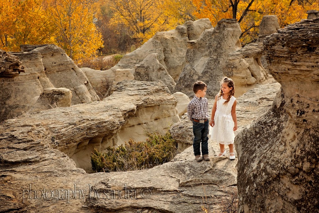 Photography By Sandra Ltd | 106 Riverpark Blvd W, Lethbridge, AB T1K 5P6, Canada | Phone: (403) 380-4905