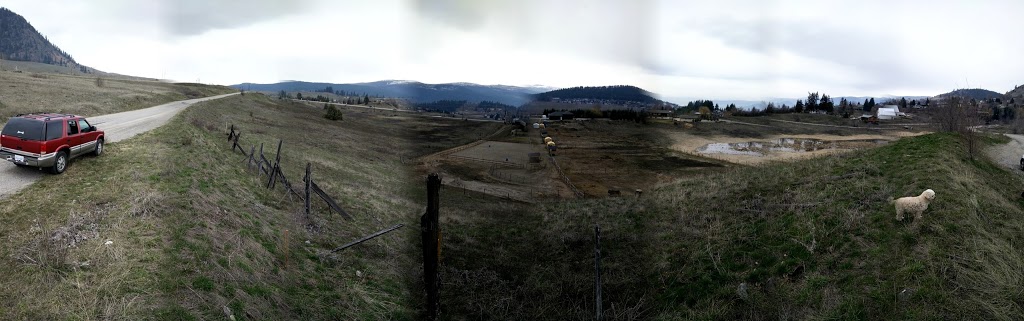 Black Mountain Grocery & Gas | 1799 BC-33, Kelowna, BC V1P 1E8, Canada | Phone: (250) 765-2407